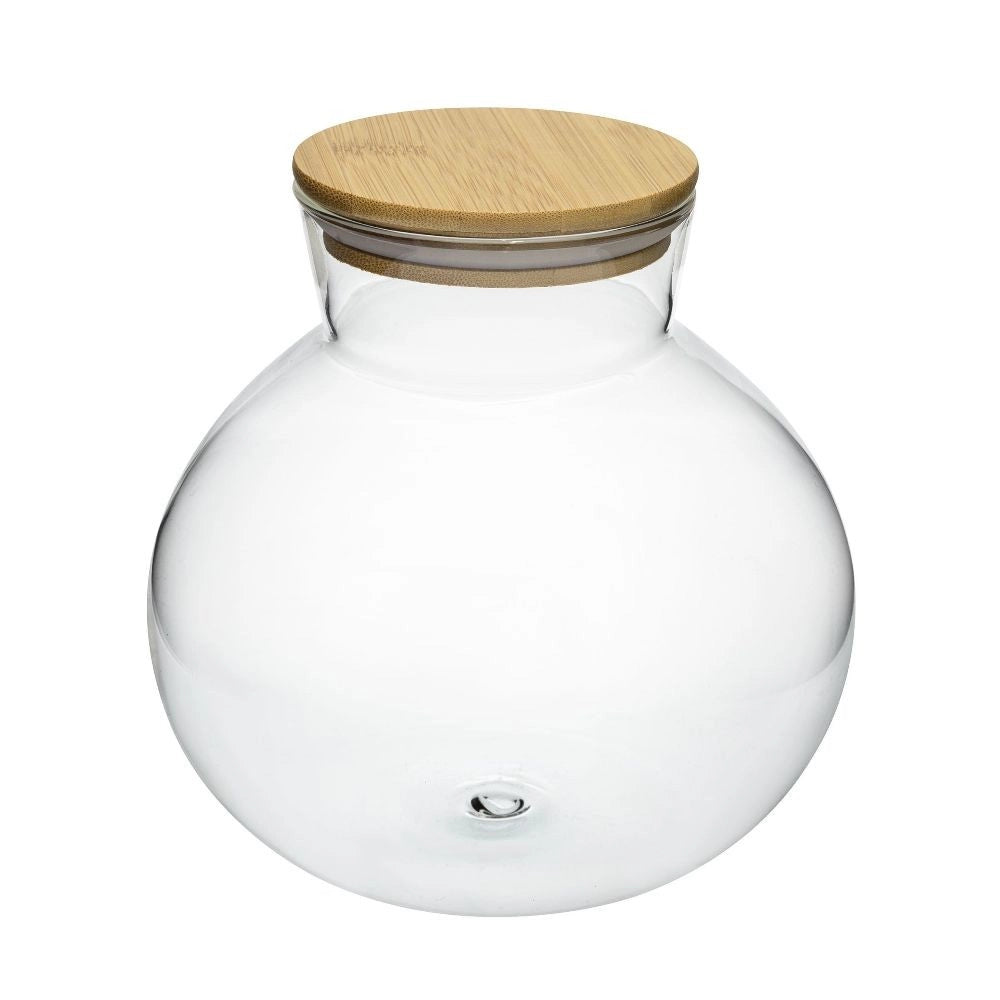 Terrario Bottle Garden Anfora con Coperchio in Legno – Vetro 18,5x18 cm