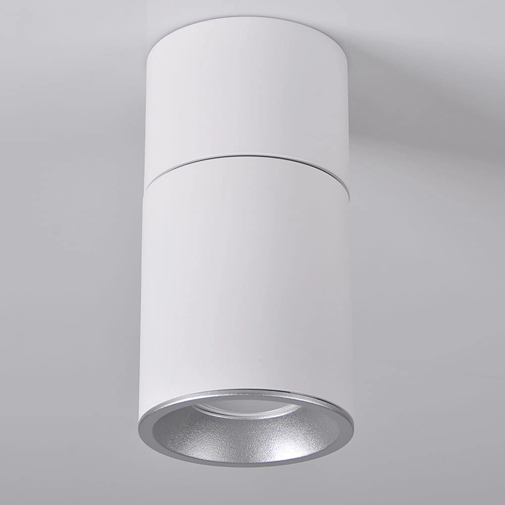 Spot da superficie orientabile GU10 bianco/argento Astra Polux