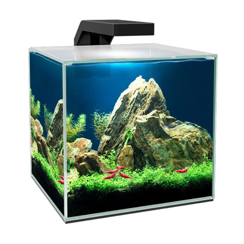 Ciano Cube 10 cm22x22,8x26,2h 10 litri - nano acquario completo di filtro e illuminazione LED