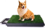 Pannelli di addestramento per cani da giardino - Bagnelli interni per cani anziani - 63 x 50 x 7 cm