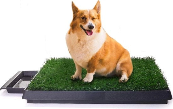 Pannelli di addestramento per cani da giardino - Bagnelli interni per cani anziani - 63 x 50 x 7 cm