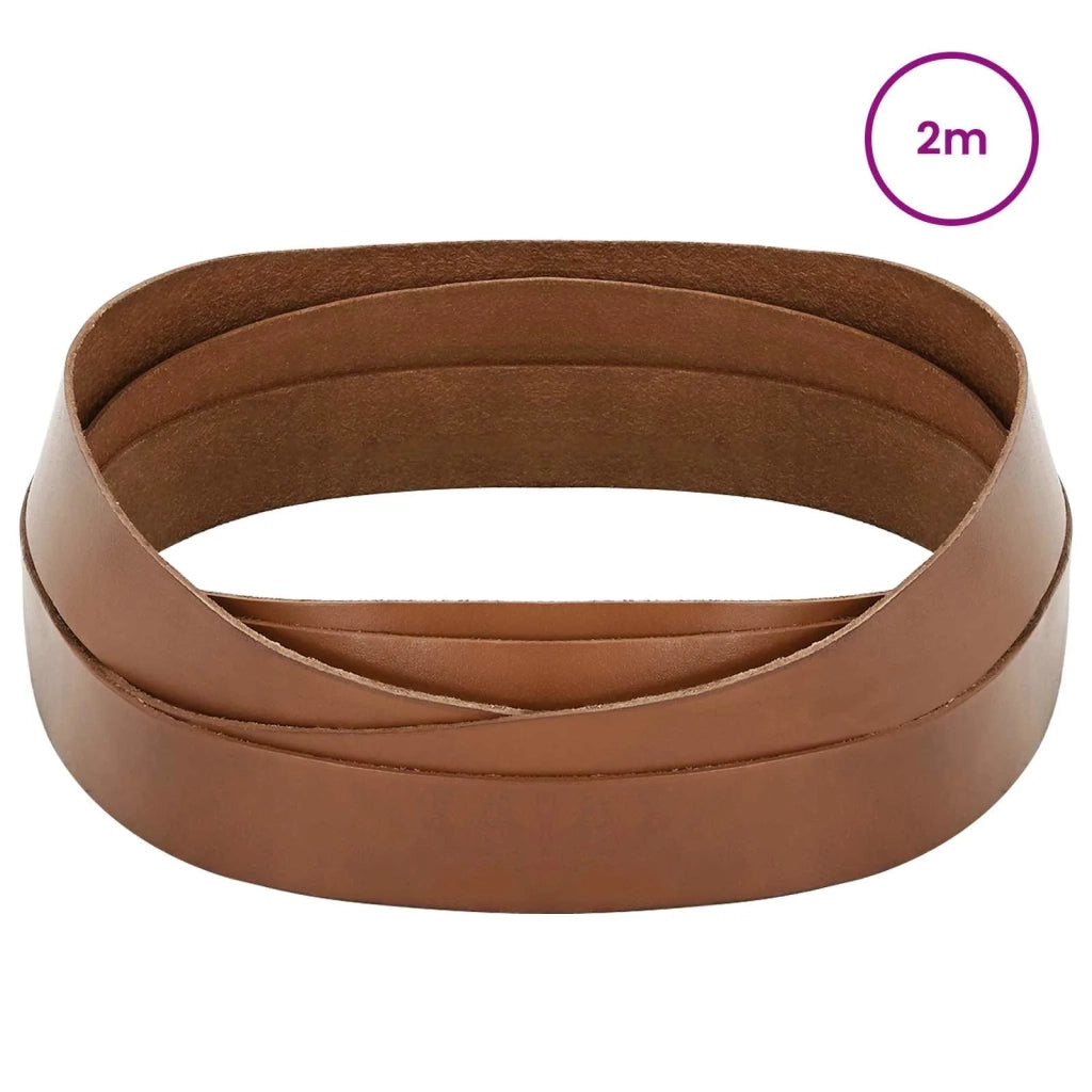 Cinturino in pelle Marrone 200 x 3,5 cm Pelle 42034229