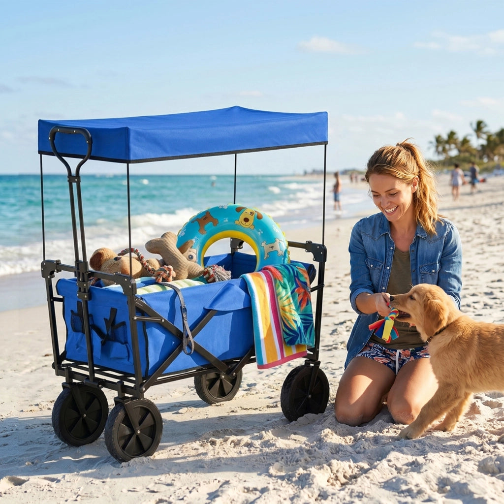 Carrello Pieghevole con Telo e Borsa Trasporto ¨C Zephmum ¨C Blu, 100 kg