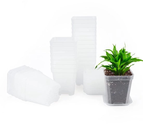 Set di vasi per semi - 24 pezzi - vasi mini quadrati - plastici - 7 cm