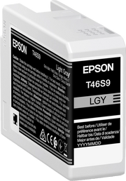 Epson UltraChrome Pro cartuccia d'inchiostro 1 pz Originale Grigio chiaro
