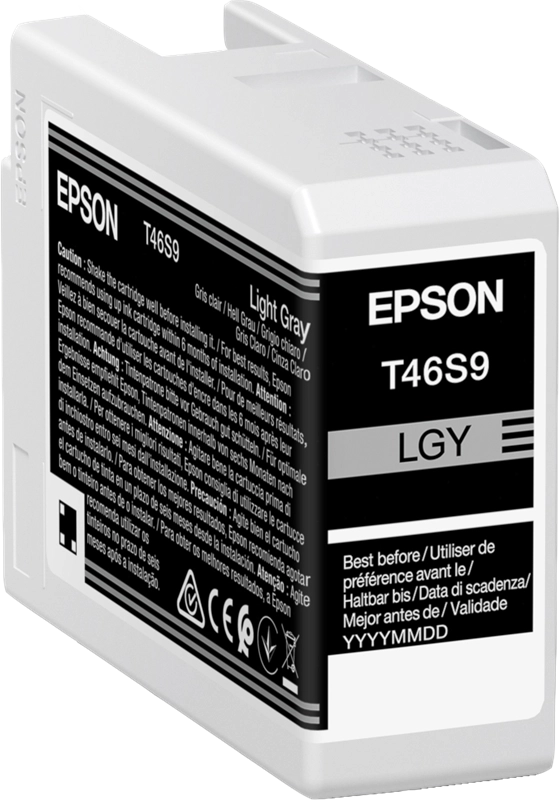 Epson UltraChrome Pro cartuccia d'inchiostro 1 pz Originale Grigio chiaro