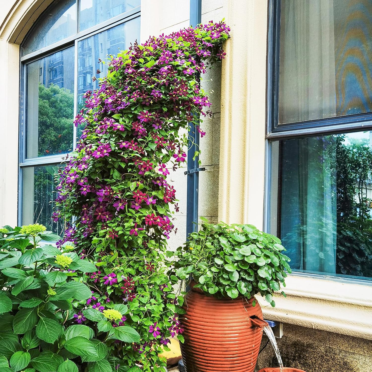 Arco da Giardino con Traliccio 250CM, 2 Mezzi Archi Trasformabili in Varie Forme, Pergolato in Metallo per Piante Rampicanti e Rose Viti, Decorazioni da Giardino per Matrimoniali