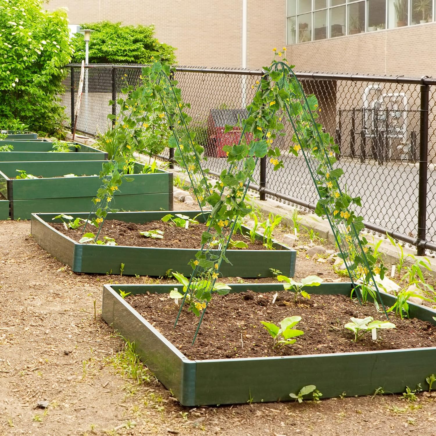 Grigliati per Rampicanti 220 x 50 CM, Set di 2 Tralicci di Metallo Antiruggine per Piante Rampicanti, Rose e Verdure, Decorazione Esterna per Giardino, Cortile e Patio (Verde)