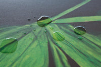 Le Forme Green Tappeto Cucina 50x180 cm Sagomato Gomma Moderna Antiscivolo Stampa Digitale