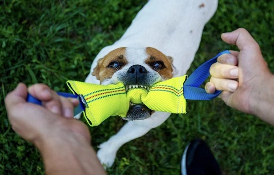 Sfera di addestramento in gomma da 30 cm con 2 maniglie - adatto per cani grandi e piccoli - giocattolo per cani da morso e tiro per la verifica della presa e la lotta