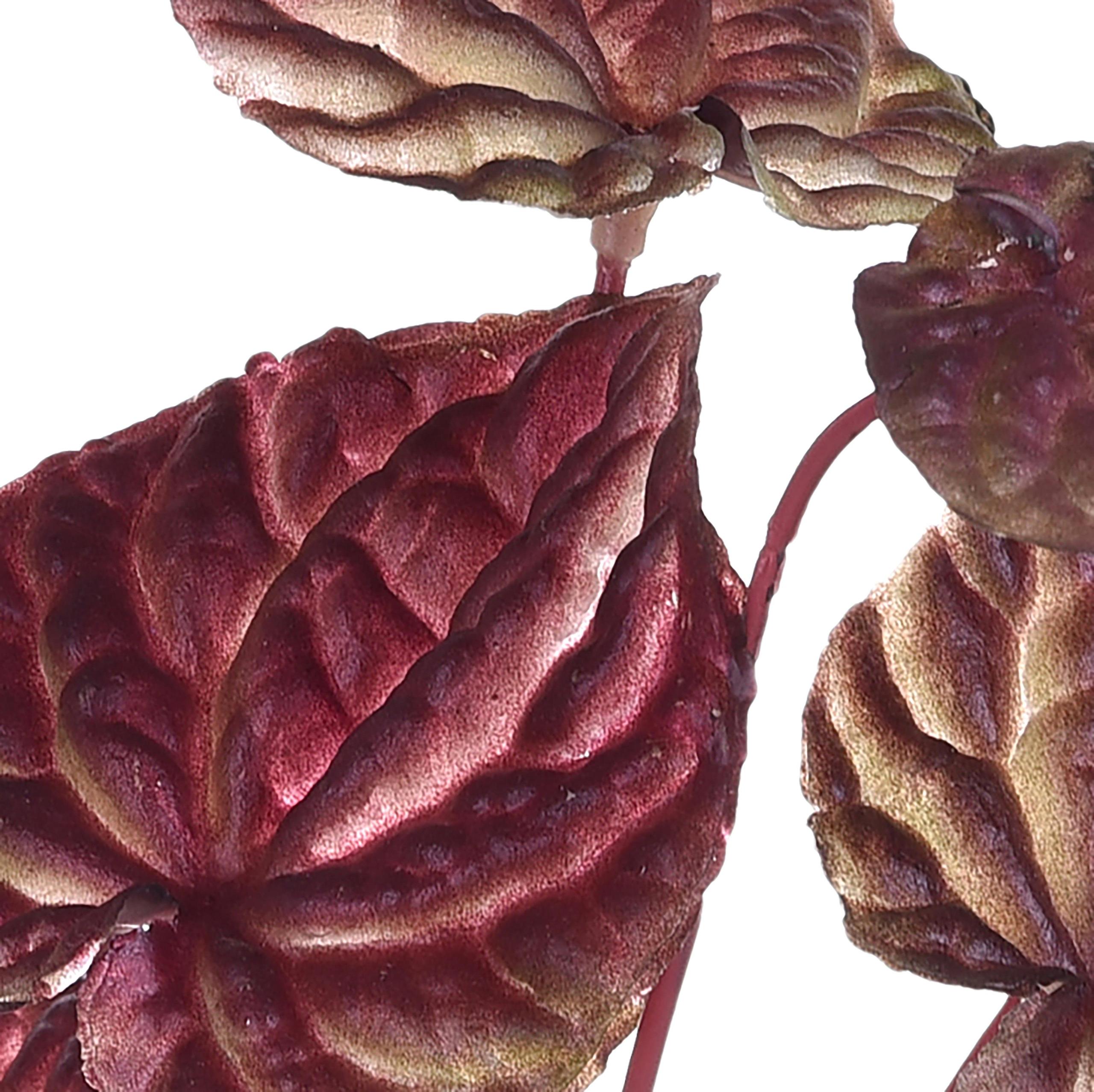 Set 6 Mini Peperonia Artificiali con 18 Foglie Altezza 29 cm Marrone