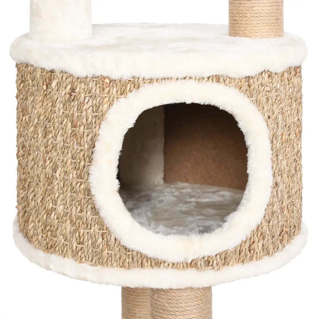 Albero per Gatti con Cuscino Lusso e Tiragraffi 148cm in Giunco CFW6404057