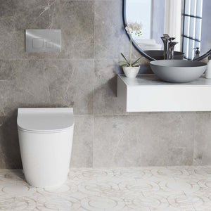 Supporto Da Incasso Per Vasi Wc Con Bottone F Cromo