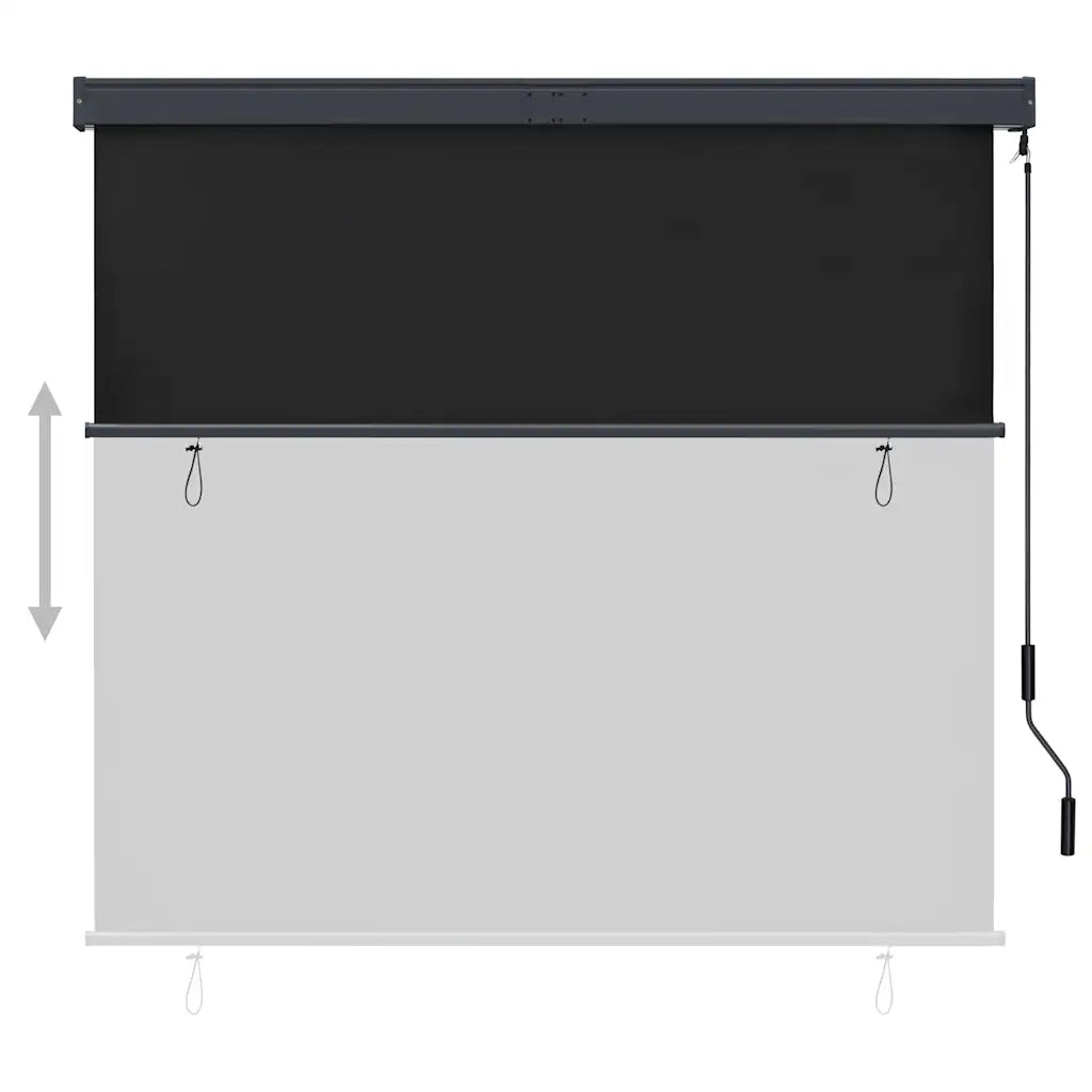 Tenda a Rullo per Esterni-Tenda da sole avvolgibile 160x250 cm Antracite