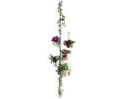 Reclamo per fiori telescopico - altezza regolabile - 5 livelli - metallo