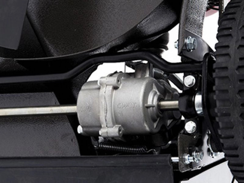 Tagliaerba professionale Weibang WB537SCVAL 196cc 7Hp taglio 53cm 3 marce + benzina e olio