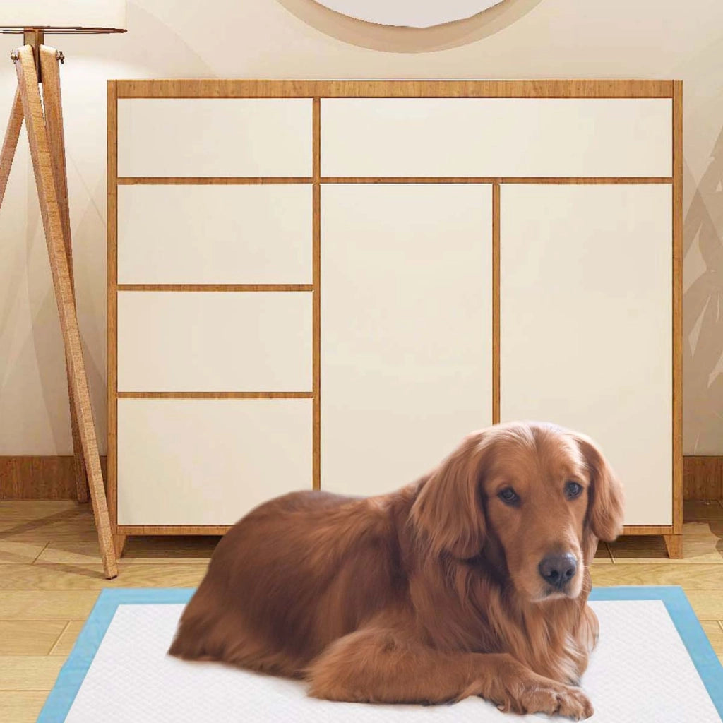 Traverse usa e getta con controllo odore, Traverse con asciugatura rapida per cani gatti conigli 76 x 91 cm-Giochi e accessori per cani