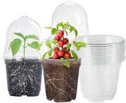 10 pezzi di vaso di crescita 10 cm con coperchio - Vasi rotondi per orchidee - Vasi di plastica trasparente per semi e piantine