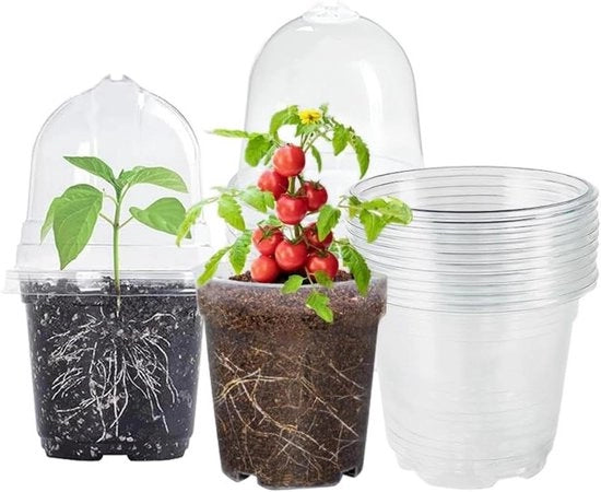 10 pezzi di vaso di crescita 10 cm con coperchio - Vasi rotondi per orchidee - Vasi di plastica trasparente per semi e piantine