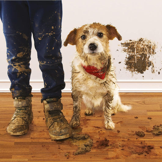 Pittura Smacchiabile per Interni LASMACCHIABILE, Colore Bianco, 0.75L