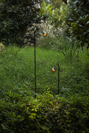 LILY 1190 Lampada pichetto nero 24V