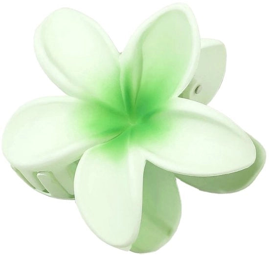 Spazzola per Capelli Antiscivolo con Clip in Plastica - Accessorio per Capelli per Donne - 8 cm di Larghezza - Utilizzo Giornaliero