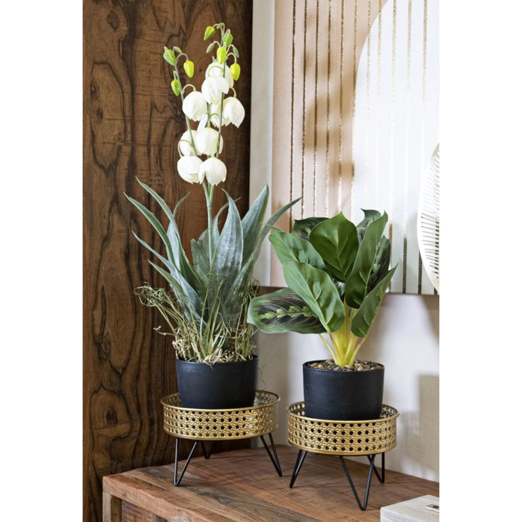 Set di 2 Vasi per Piante VKH410, Oro, Metallo, 20,5x20,5x13 cm