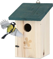 Cassa nidificante per passeri e merli 35 mm Casa per uccelli in legno naturale da appendere verde naturale