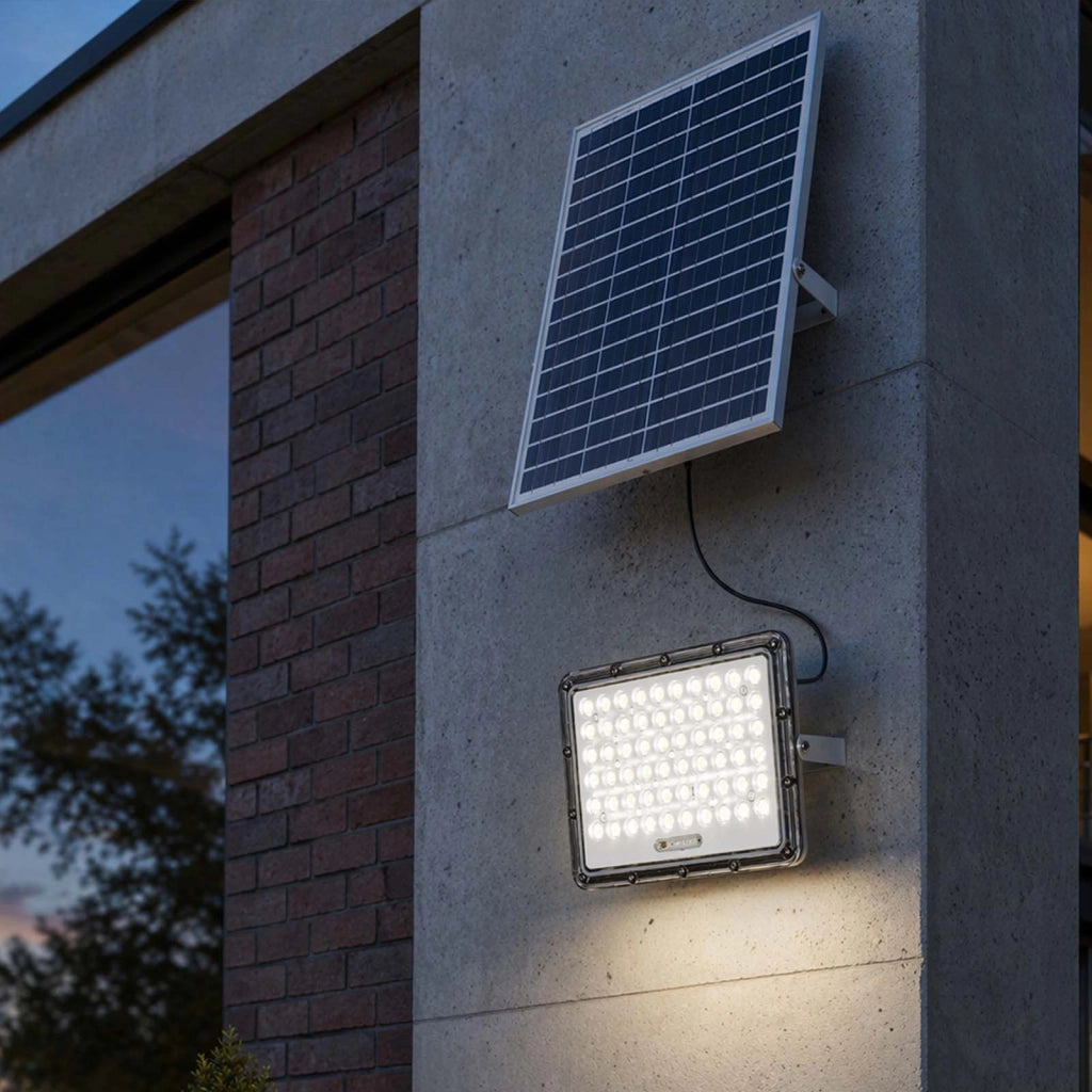 Proiettore Solare LED Esterno 9000K con Rilevamento Automatico Grigio Avizar