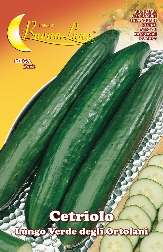 semi orto cetriolo verde cod:ferx.92527