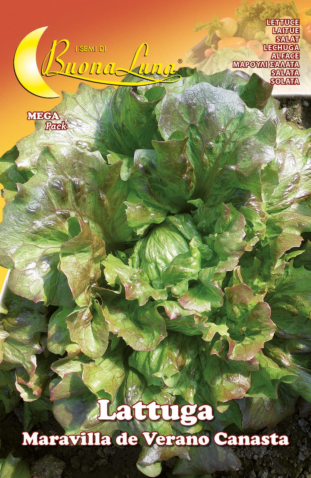 semi orto lattuga canasta cod:ferx.92529