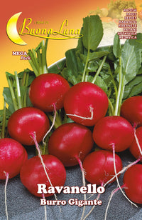 semi orto ravanello gigante cod:ferx.92533