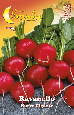 semi orto ravanello gigante cod:ferx.92533