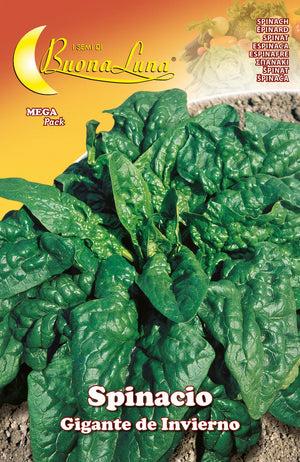 semi orto spinaci giganti cod:ferx.92535