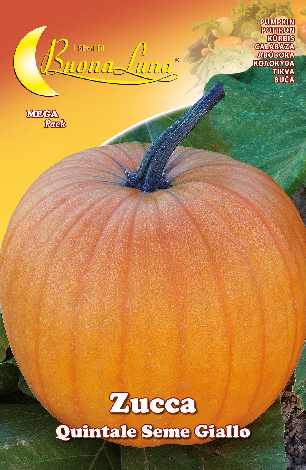 semi orto zucca quintale cod:ferx.92536