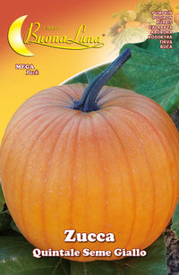semi orto zucca quintale cod:ferx.92536
