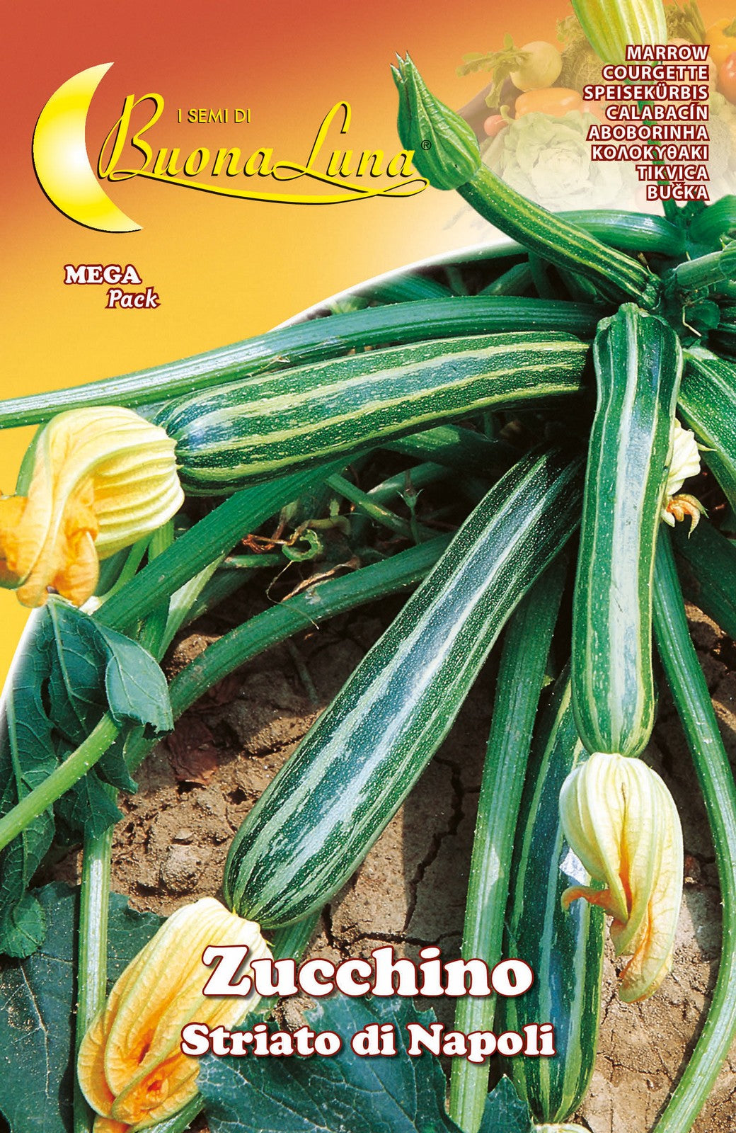 semi orto zucchino striato napoli cod:ferx.92538