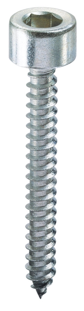 Ambrovit VITE AUTOFILETTANTE TC CON ESAGONO INCASSATO  mm. 5,5x50 2.00 centinaia