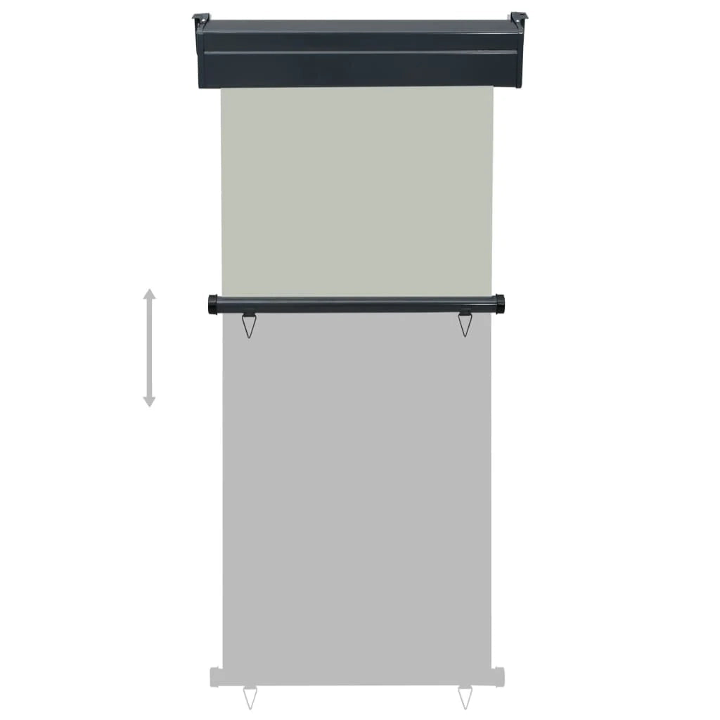 Tenda da sole laterale retrattile/schermo privacy per patio giardino terrazza balcone 80 x 250 cm grigio 02_0007040