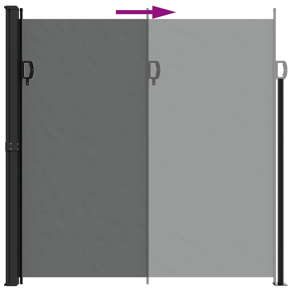 Tenda da Sole Laterale Retrattile-Tenda parasole per balcone per giardino antracite 200x300 cm