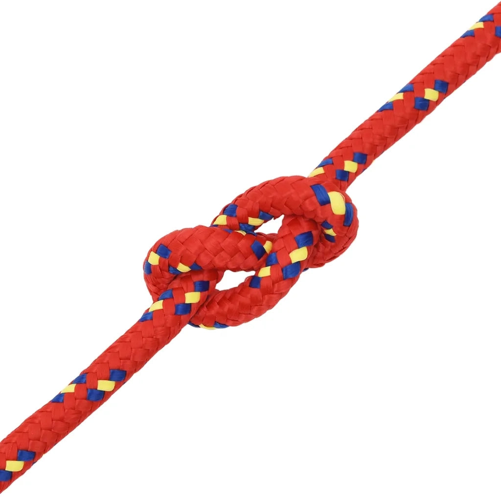 Corda Nautica Rossa 12 mm 25 m in Polipropilene cod mxl 53713