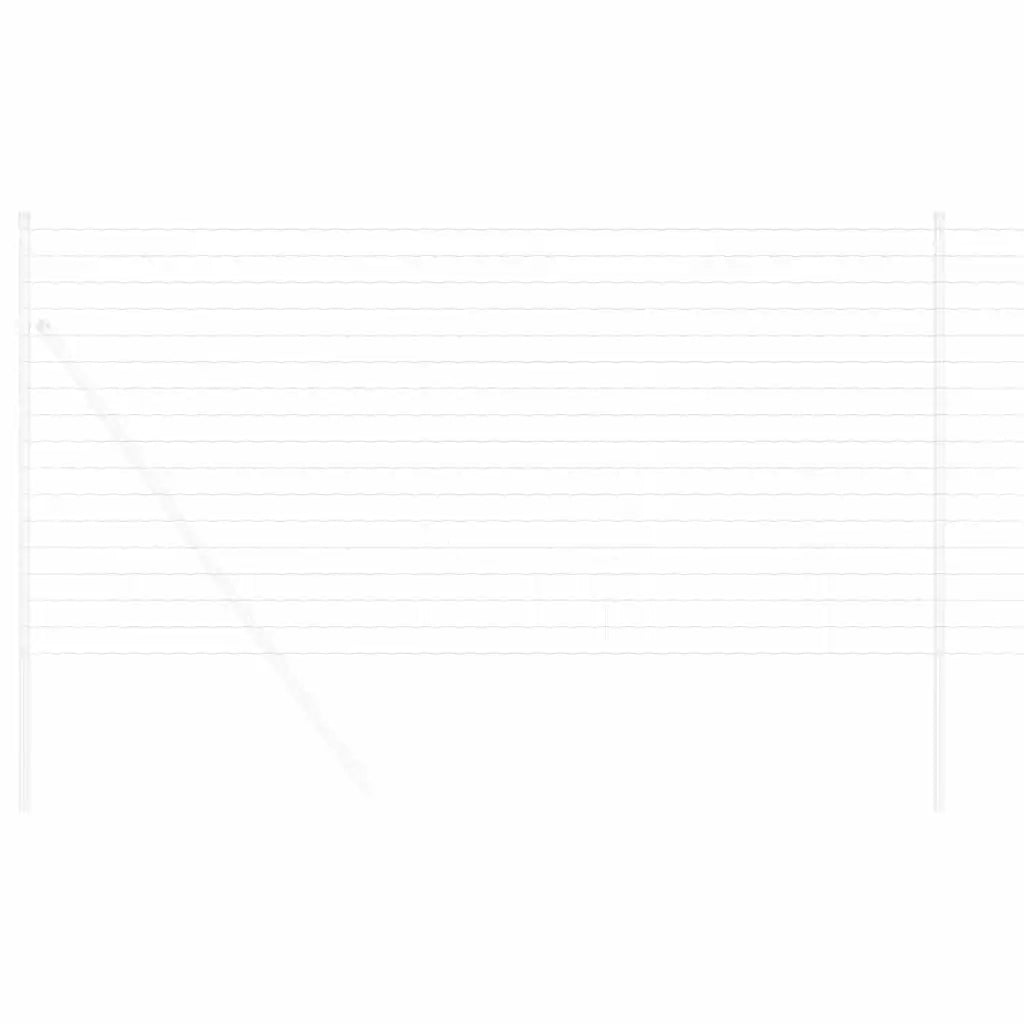 Recinzione Euro 1 x 25 m Ferro rivestito in PVC 42004749