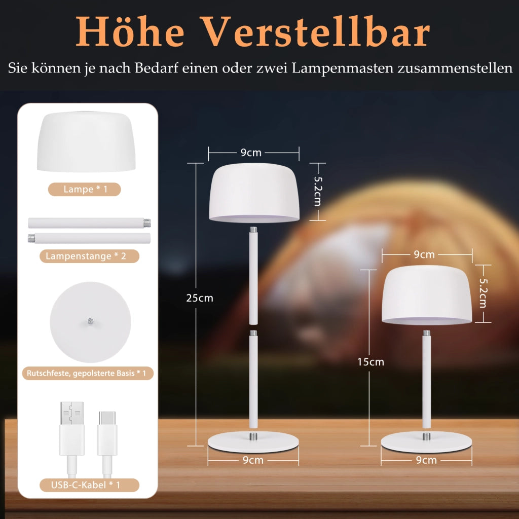 ZMH Lampada da tavolo LED wireless touch dimmerabile 3 temperature colore per camera letto soggiorno