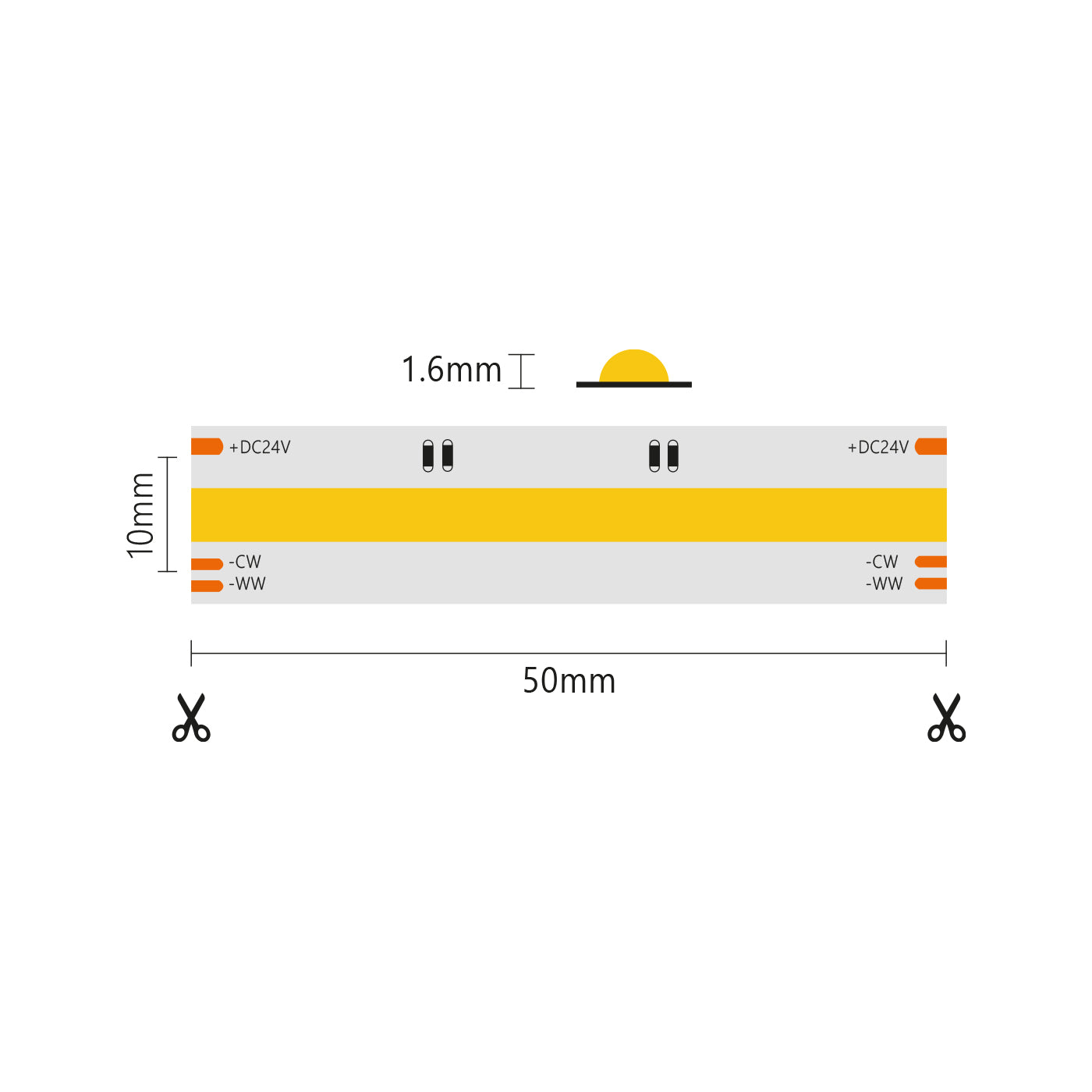 Striscia led COB IP20 5m da 8+8W/MT 24V - CCT - 2700K-6500K