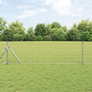 Recinzione con Posto Argento 0,8 x 25 m Acciaio e PVC
