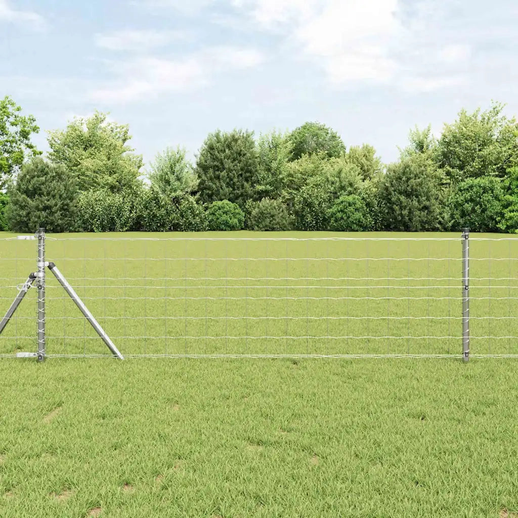 Recinzione con Posto Argento 0,8 x 25 m Acciaio e PVC
