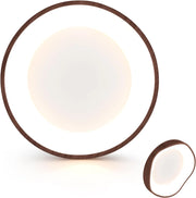 Lampada da Soffitto LED, Plafoniera LED Moderna da 24W Effetto Legno con Telaio in Metallo 3000K, Ideale per Camera da Letto, Soggiorno, Bagno, Corridoio e Ufficio [Classe di efficienza energetica F]