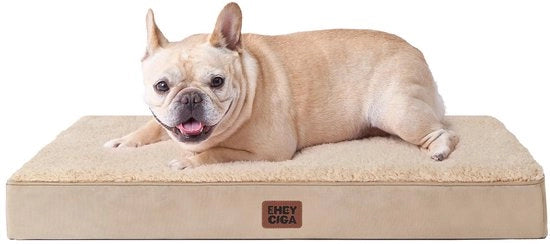 Cuscino per Cane per Piccoli Cani 76x51x9cm, Lavabile, Cuscino morbido per cani, Gomitolo per cani, Materasso per cani per in banco, Khaki