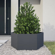 Fioriera da Giardino Antracite Esagono 104x90x45 cm in Acciaio 851131