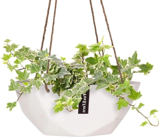 Sospensione per piante - Sospensione per piante a pendente per interni ed esterni con vaso moderno e geometrico - piccola corda per fiori da finestra e soffitto - vaso per piante galleggiante di 

Modello: 
Materiali: 
Dimensioni: 
Colore: 
Peso: